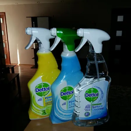 Apartament Laurentiu - Etaj.1 Bukareszt