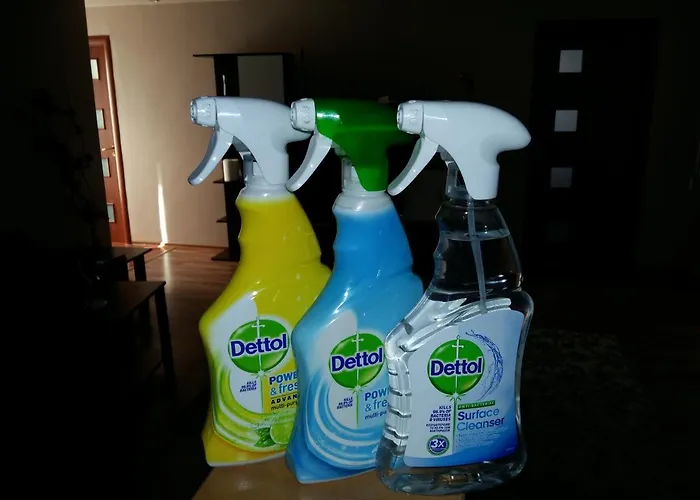 Apartament Laurentiu - Etaj.1 Bucureşti