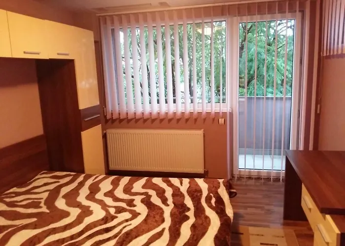 Laurentiu - Etaj.1 Bukarest